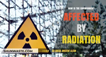Radiation's Impact: Understanding Environmental Consequences and Long-Term Effects