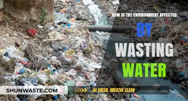 Water Waste Crisis: How Our Environment Suffers from Neglect