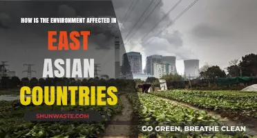East Asia's Environmental Challenges: Impacts and Sustainable Solutions