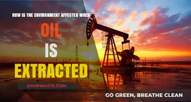 Oil Extraction's Environmental Impact: Ecosystems, Climate, and Biodiversity at Risk