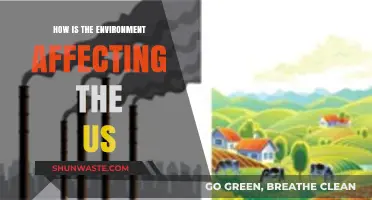 Environmental Impacts: How Nature's Changes Are Shaping America's Future
