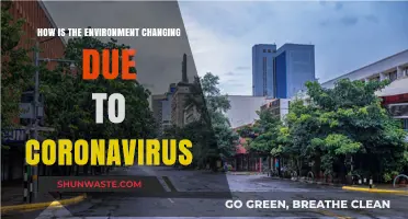Coronavirus Impact: Unveiling the Environment's Rapid and Unexpected Transformation