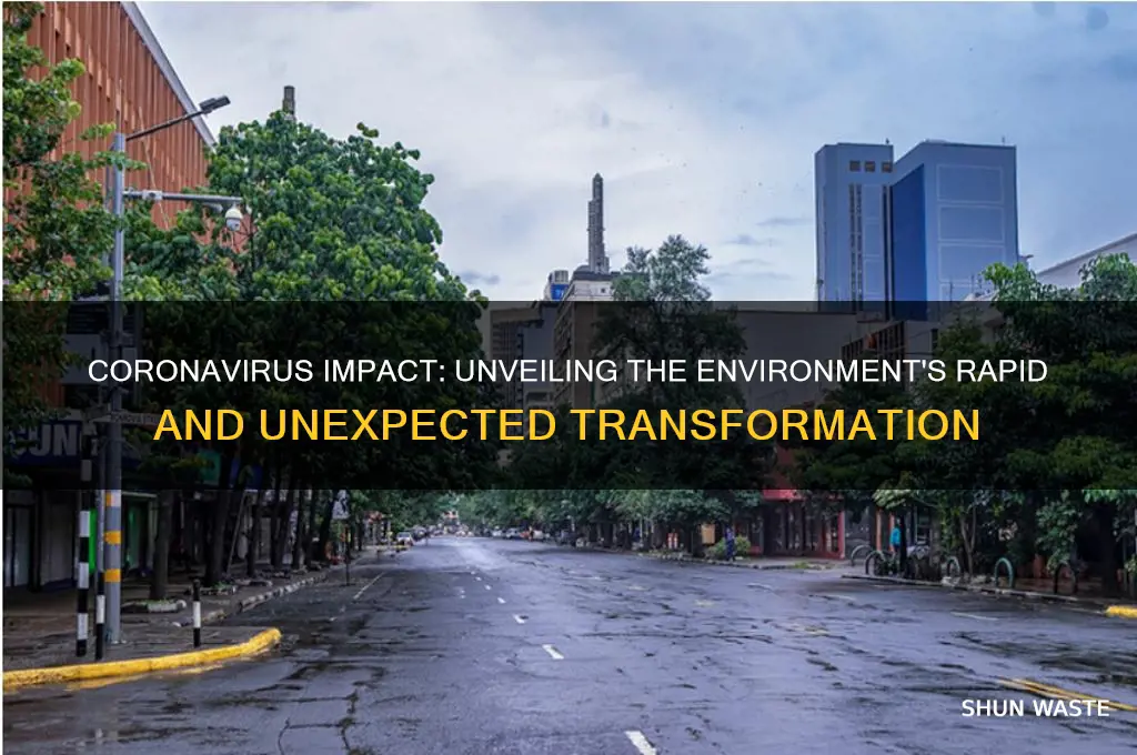 how is the environment changing due to coronavirus