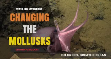 Environmental Shifts: Impact on Mollusk Evolution and Survival Strategies