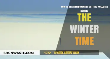 Winter's Environmental Impact: Pollution's Cold Truth