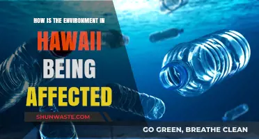 Hawaii's Environment: Climate Change, Pollution, and Conservation Challenges