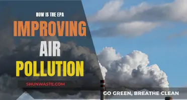 EPA's Air Pollution Control: Strategies and Impact