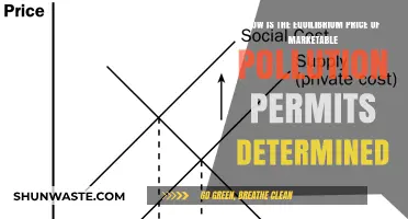 Marketable Pollution Permits: Equilibrium Price Factors
