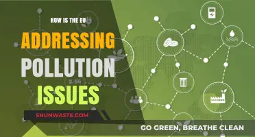 EU's Pollution Control: Strategies and Future Plans