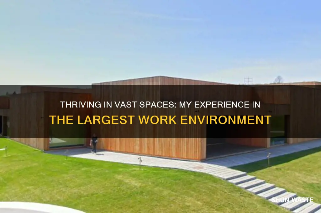 how is the experience working in largest environment