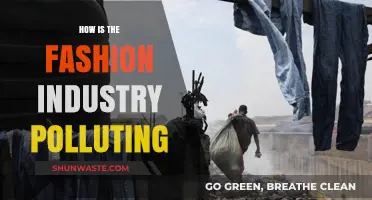 Fashion's Dark Side: Pollution and the Planet