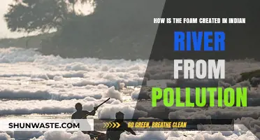 Toxic Foam: Indian River Pollution Mystery