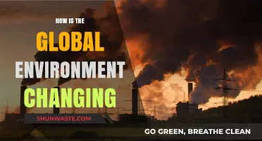 Global Environment in Flux: Climate, Biodiversity, and Human Impact