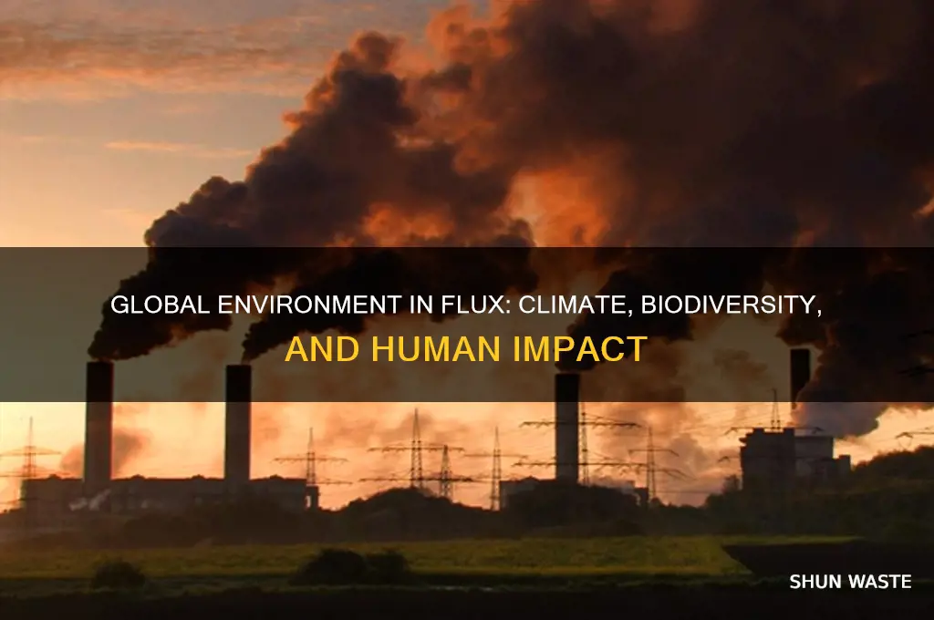 how is the global environment changing