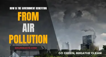 Air Pollution: A Government's Dark Profit