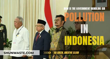 Indonesia's Air Pollution: Government's Action Plan