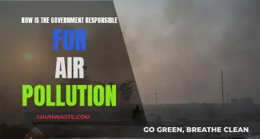 Government Accountability for Air Pollution