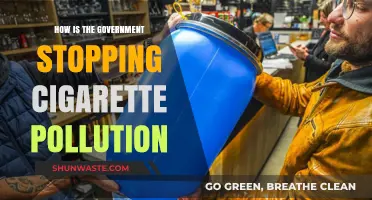 Battling Cigarette Pollution: Government Initiatives and Interventions