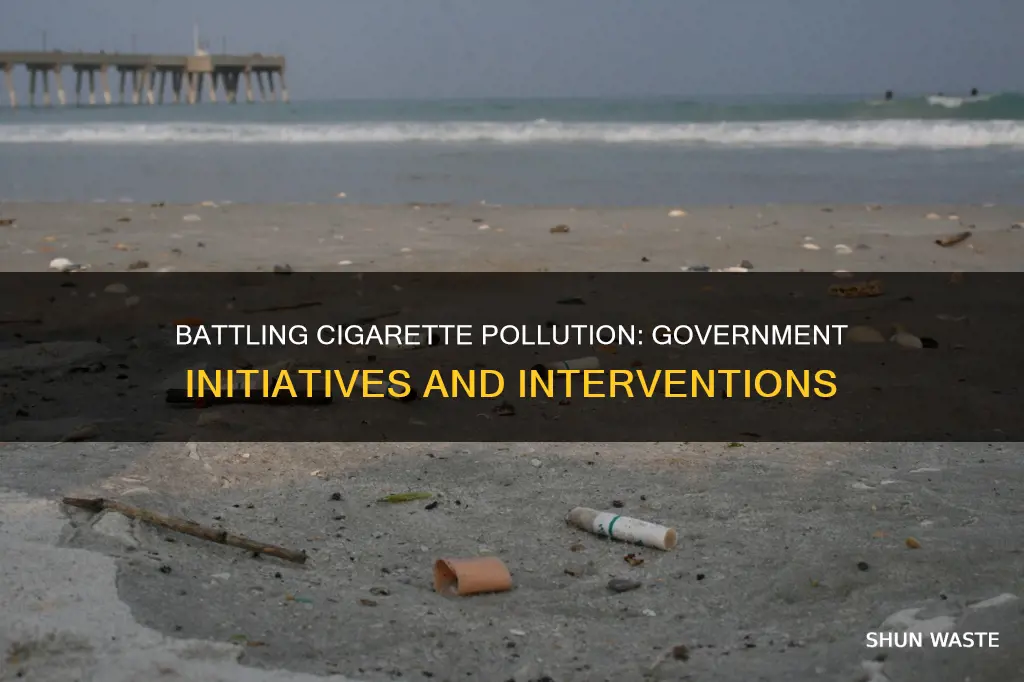 how is the government stopping cigarette pollution