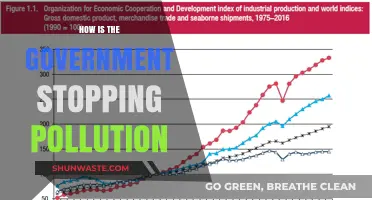 Government Initiatives: Battling Pollution, Saving Our Planet