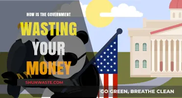 Taxpayer Dollars Squandered: Government Spending Gone Wrong and How to Fix It