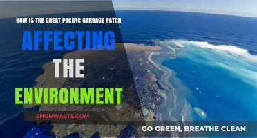 The Great Pacific Garbage Patch: Environmental Impacts and Urgent Solutions