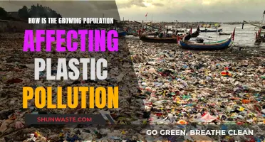 Plastic Pollution: Population Boom's Environmental Impact