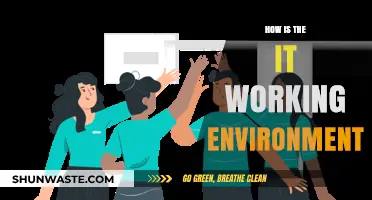 Exploring the Dynamics of the IT Working Environment: Challenges and Opportunities
