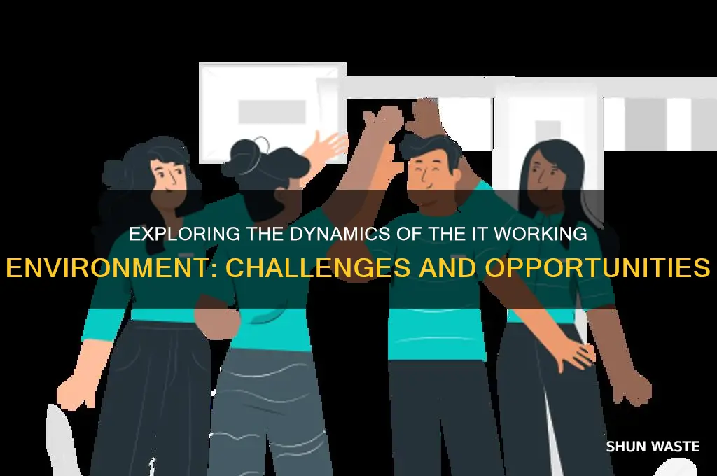 how is the it working environment