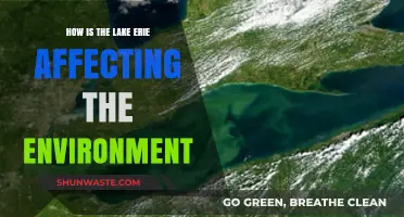 Lake Erie's Environmental Impact: Challenges and Conservation Efforts Explored