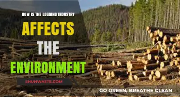 Logging's Environmental Impact: Deforestation, Biodiversity Loss, and Climate Change