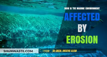 Erosion's Impact: How Coastal Processes Threaten Marine Ecosystems