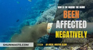 Marine Biome: Negative Impacts and Their Causes