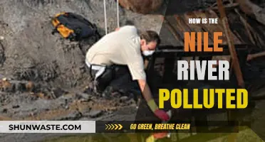 The Nile's Pollution Crisis: Understanding the Human Impact