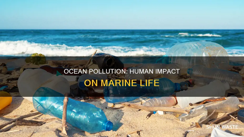 how is the ocean being polluted