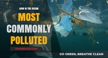 Ocean Pollution: Common Sources and Their Impact