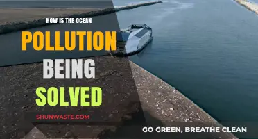 Ocean Pollution: Solutions and Innovations