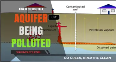 The Ogallala Aquifer: Pollution and Its Impact