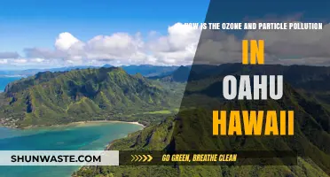 Oahu's Air Quality: Ozone and Particle Pollution Explained