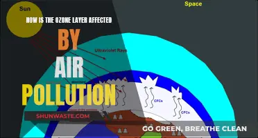 Ozone Layer: Air Pollution's Impact and Effects