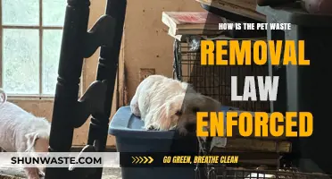 Enforcing Pet Waste Removal Laws: Compliance, Penalties, and Community Impact
