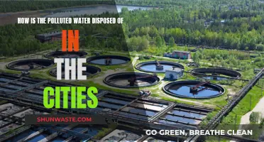 Unveiling Urban Water Disposal: Navigating Pollution's Complex Journey