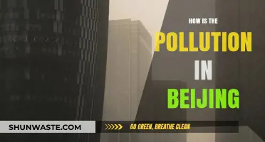 Beijing's Pollution: A City's Battle