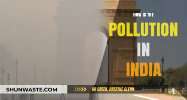 India's Pollution Crisis: A Comprehensive Overview