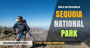 Sequoia National Park: Pollution's Impact