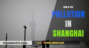 Shanghai's Pollution: A City's Battle