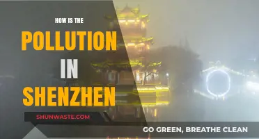 Shenzhen's Pollution: A City's Battle