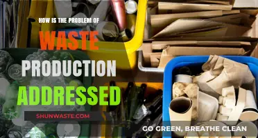 Tackling Waste Production: Innovative Solutions for a Sustainable Future