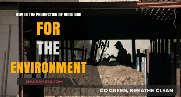 Wool's Environmental Impact: Unraveling the Hidden Costs of Production