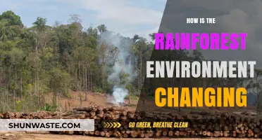 Shifting Rainforest Ecosystems: Climate, Deforestation, and Biodiversity Impacts Explored